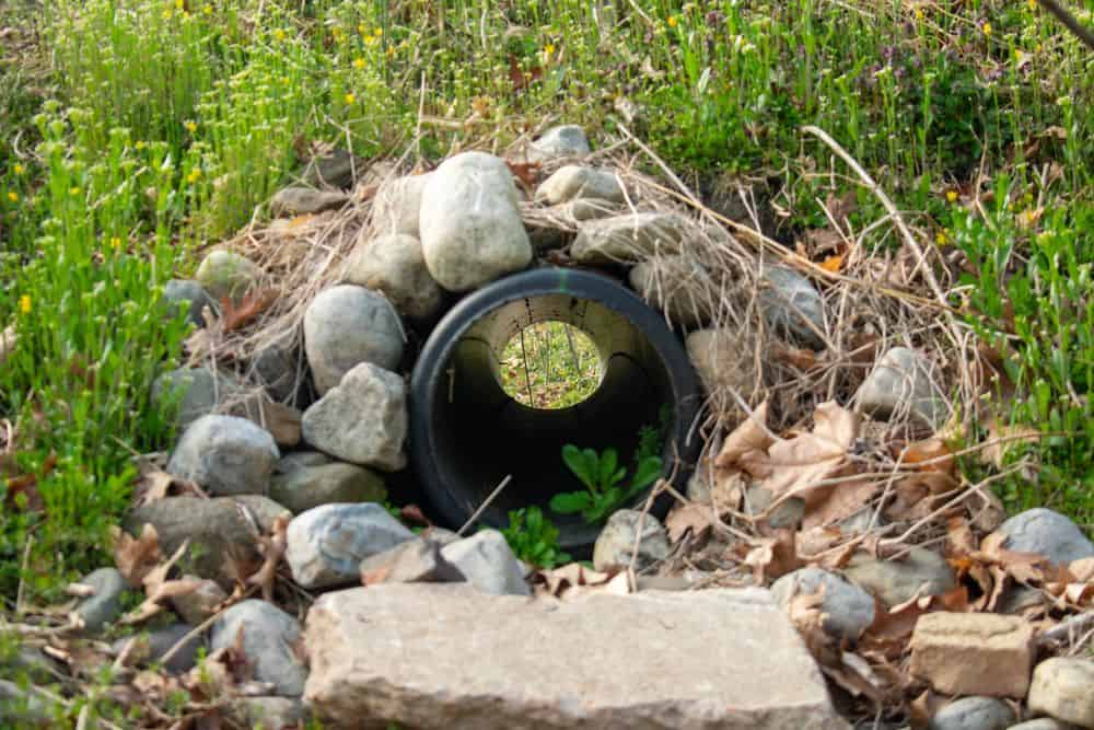 Exterior French Drain Installation image